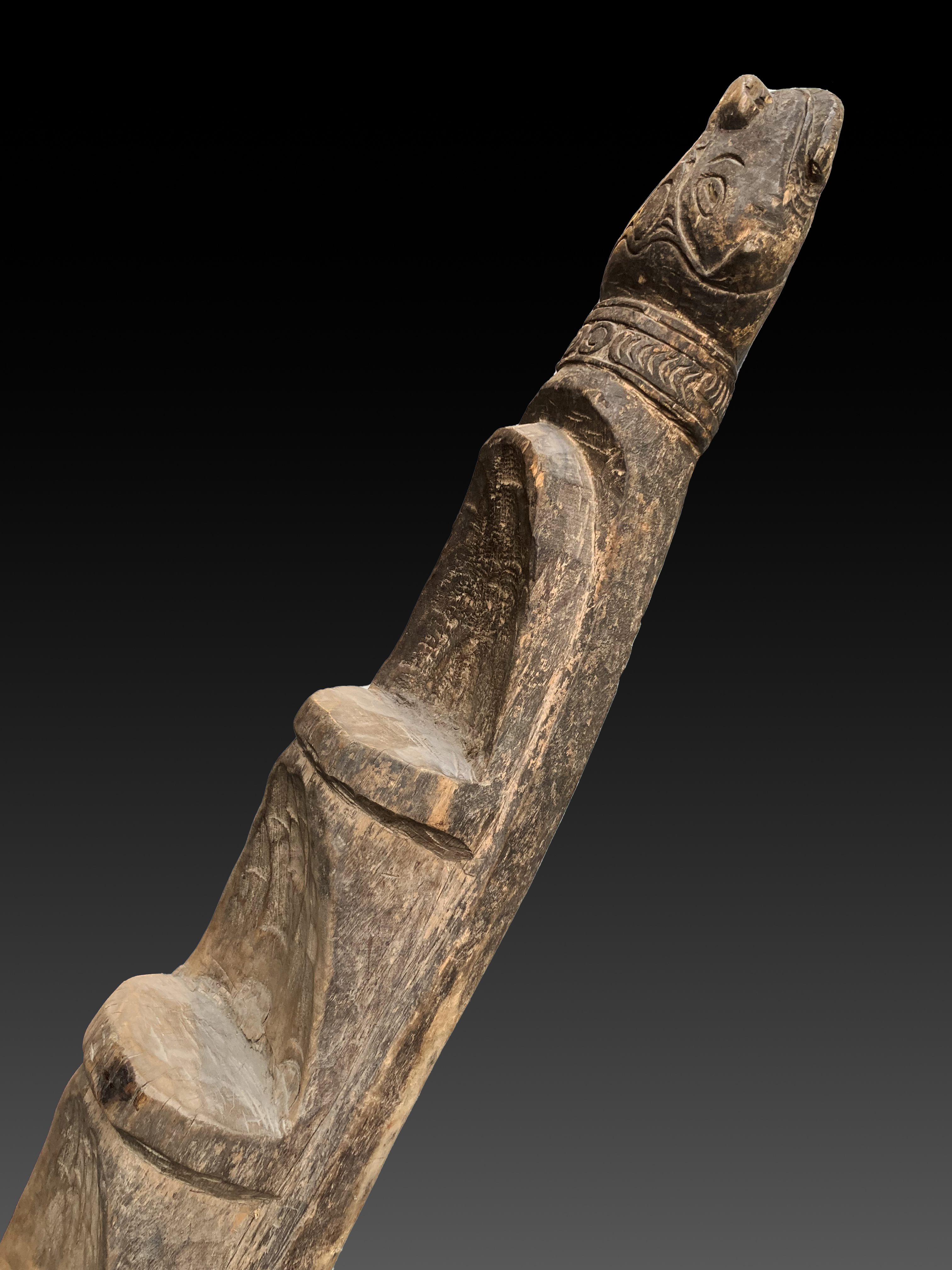 Sepik Ladder